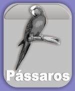 Produtos para Pássaros